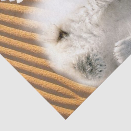 Tissue Paper Angel Polar Beer Tissuepapier (Detail)