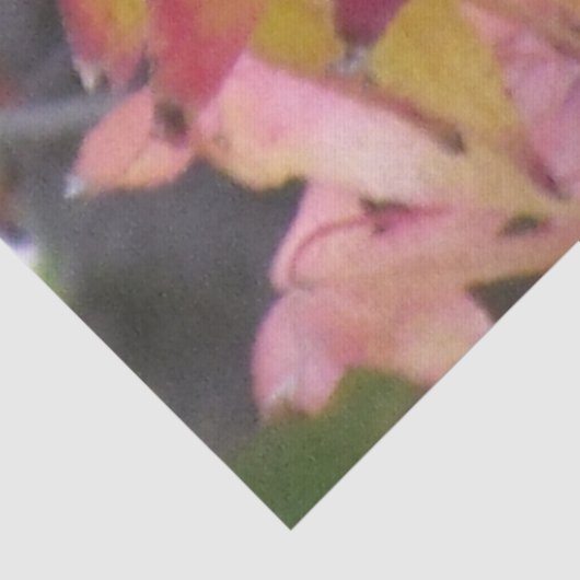 Tissue Paper - Autumn Leaves Tissuepapier (Detail)