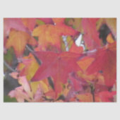 Tissue Paper - Autumn Leaves Tissuepapier (Voorkant)