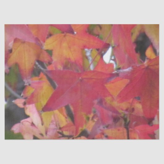 Tissue Paper - Autumn Leaves Tissuepapier (Voorkant)