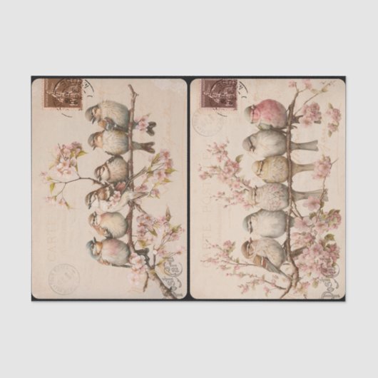 Tissue Paper Branchy Birds Tissuepapier (Voorkant)