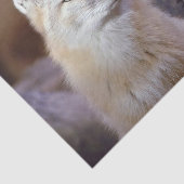 Tissue Paper Corsac Fox Tissuepapier (Detail)