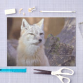 Tissue Paper Corsac Fox Tissuepapier (Craft)