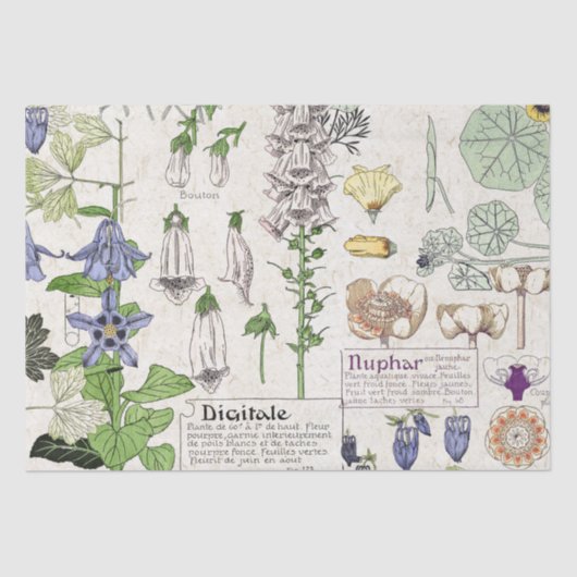 Tissue paper French Art Nouveau Foxglove Flowers Tissuepapier (Voorkant)