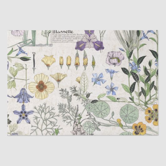 Tissue paper French Art Nouveau Poppy Flowers Tissuepapier (Voorkant)