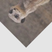 Tissue Paper Meerkat Tissuepapier (Detail)