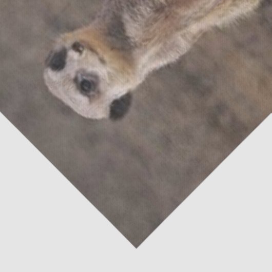 Tissue Paper Meerkat Tissuepapier (Detail)