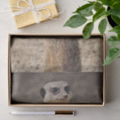 Tissue Paper Meerkat Tissuepapier (Geschenk)