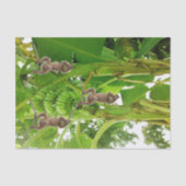 Tissue Paper Monkey Rope Bananenboom Tissuepapier (Voorkant)