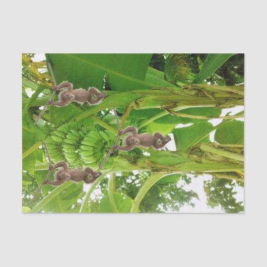 Tissue Paper Monkey Rope Bananenboom Tissuepapier (Voorkant)