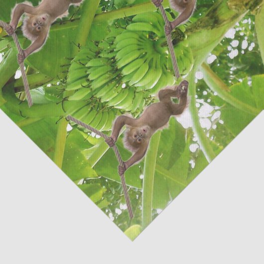 Tissue Paper Monkey Rope Bananenboom Tissuepapier (Detail)