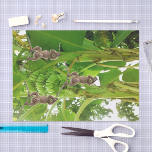 Tissue Paper Monkey Rope Bananenboom Tissuepapier (Craft)