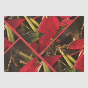 Tissue Paper Poinsettia Kerstfeestdag Tissuepapier