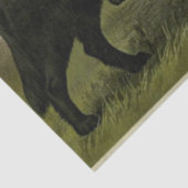 Tissue paper  Retrievers Tissuepapier (Detail)