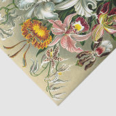 Tissue Paper van Ernst Haeckel Tissuepapier (Detail)