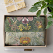 Tissue Paper van Ernst Haeckel Tissuepapier (Geschenk)