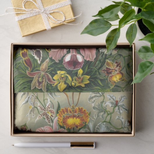 Tissue Paper van Ernst Haeckel Tissuepapier (Geschenk)