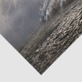 tissue papier (Detail)