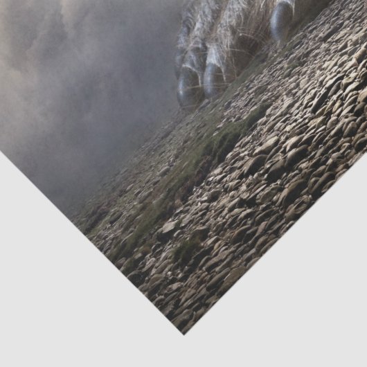 tissue papier (Detail)