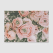 TISSUEPAPER : BLOEMEN : PIJONROZEN TISSUEPAPIER (Voorkant)