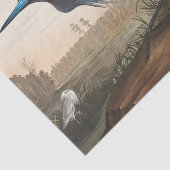 Tissuepapier (Detail)