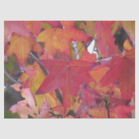 Tissuepapier - Herfstbladeren (Voorkant)