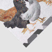 tissuepapier kip (Detail)