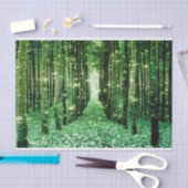 Tissuepapier Magisch Bos Groen Mysterie (Craft)