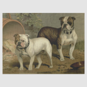 Tissuepapier met vintage bulldogs