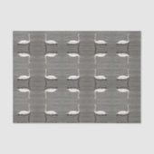 TISSUEPAPIER - TURAN GLIDES (Voorkant)