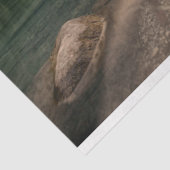 tissuepapier voor alpen-meren (Detail)