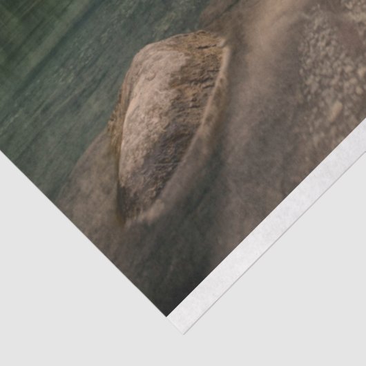 tissuepapier voor alpen-meren (Detail)