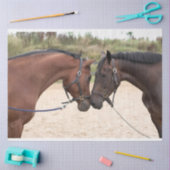 tissuepapier voor de paardenliefde (Craft)