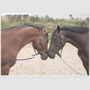 tissuepapier voor de paardenliefde