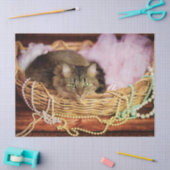 tissuepapier voor feestmeisjes (Craft)