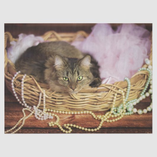 tissuepapier voor feestmeisjes (Voorkant)