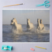 tissuepapier voor paardenbeslag (Craft)