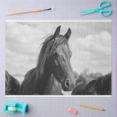 tissuepapier voor paardenkoppen (Craft)