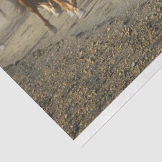 tissuepapier voor paardenvervoer (Detail)