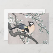 Tit on Cherry Branch  Briefkaart (Voorkant / Achterkant)