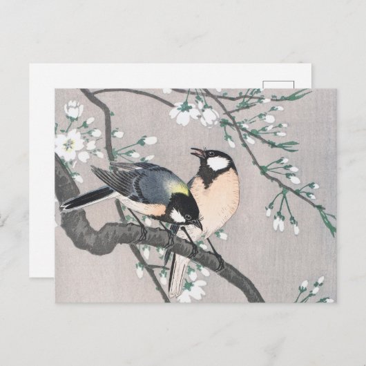 Tit on Cherry Branch  Briefkaart (Voorkant / Achterkant)