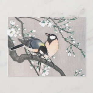Tit on Cherry Branch  Briefkaart