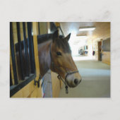 Titan Briefkaart (Voorkant)