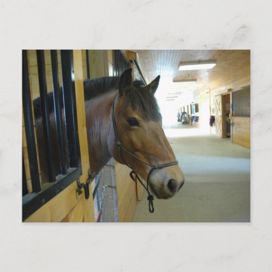 Titan Briefkaart (Voorkant)