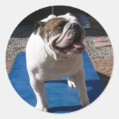 Titan sticker (Voorkant)