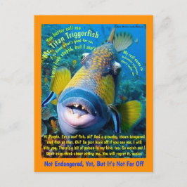 Titan Triggerfish, voor het kind, een humoristisch Briefkaart