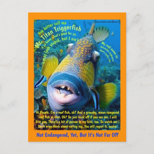 Titan Triggerfish, voor het kind, een humoristisch Briefkaart (Voorkant)