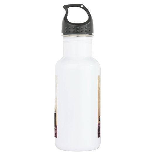 Titanic in Zee Waterfles (Achterkant)