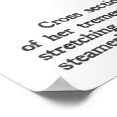 TITANISCHE ILLUSTRATIE IN CHICAGO TABLOID POSTER (Hoek)