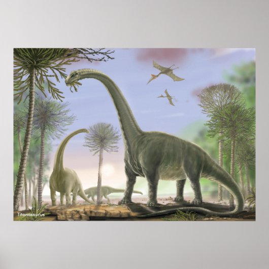 Titanosaur Argentinosaurus Poster (Voorkant)
